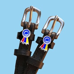 Dreamers & Schemers Spur Straps - Tri-Color Ribbon