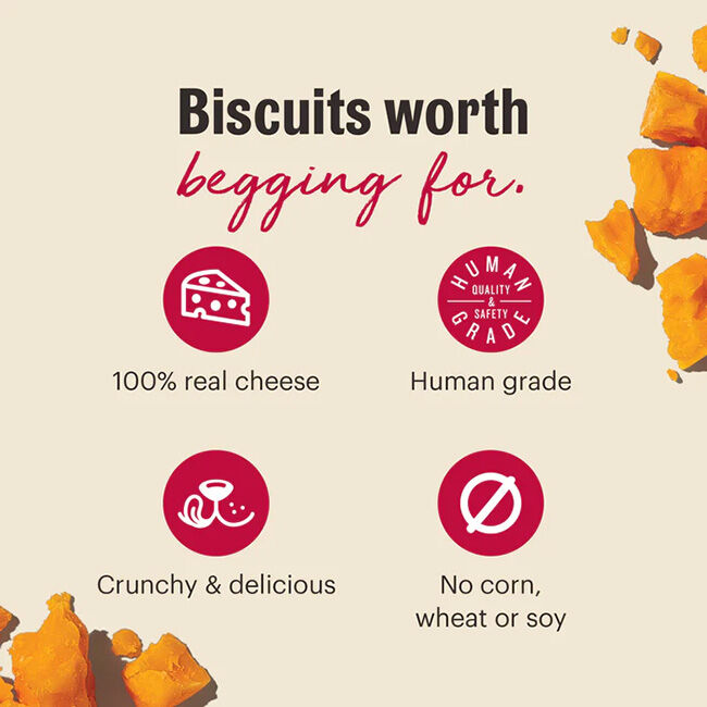 The Honest Kitchen Cheddar Biscuits for Dogs - 3.5 oz image number null