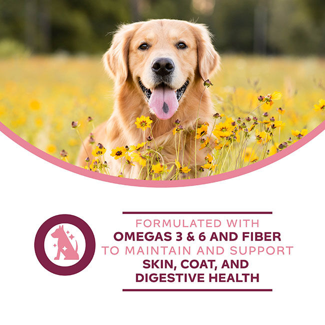 Fromm Nutritionals Sensitive Skin & Stomach Complete Dog Food Pate - 13 oz image number null