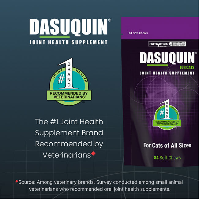 Nutramax Laboratories Dasuquin Joint Health Supplement for Cats with Glucosamine, Chondroitin, ASU, Boswellia Serrata Extract, Green Tea Extract & Omega-3&rsquo;s - 84 Soft Chews image number null