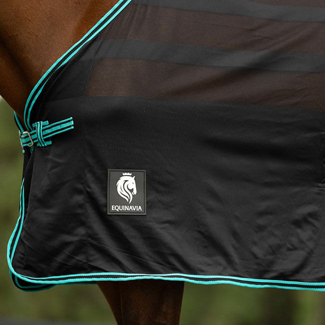 Equinavia Sefyr Scrim Sheet - Black/Turquoise image number null