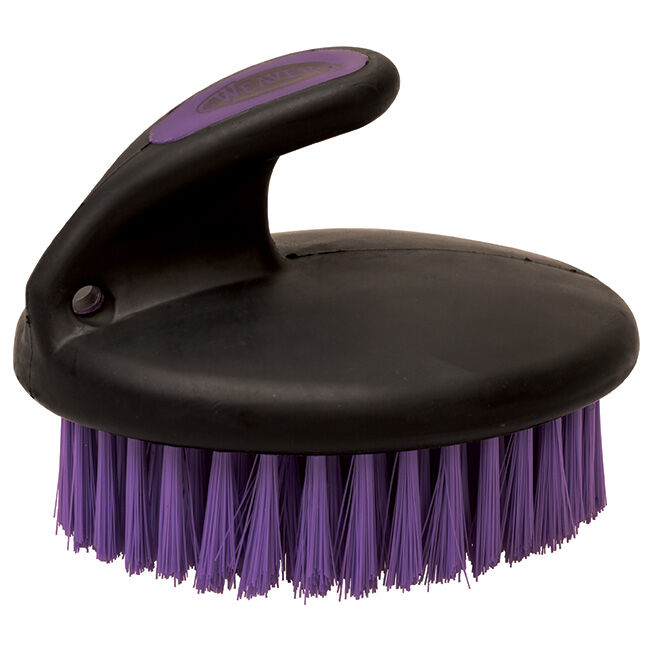 Weaver Palm Brush image number null