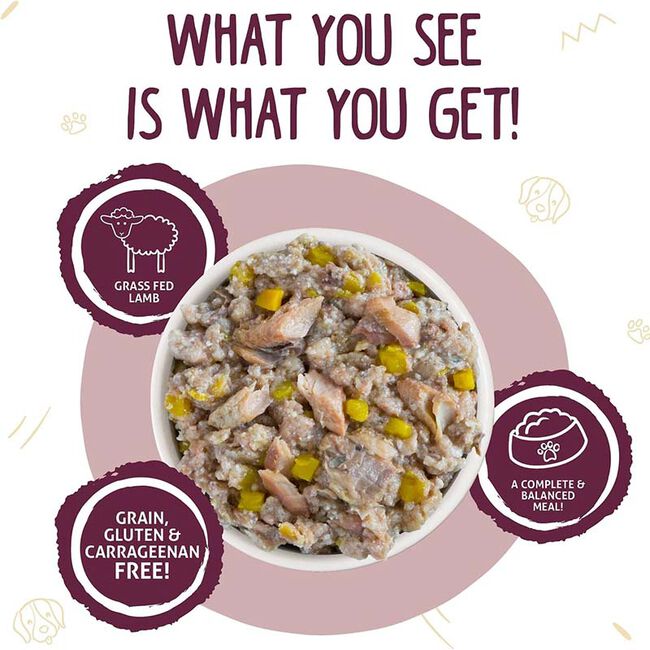 Weruva Classic Dog Food - Hot Dayam! with Luscious Lamb in Gelée - 14 oz image number null