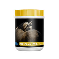 Mad Barn Performance XL: Electrolytes