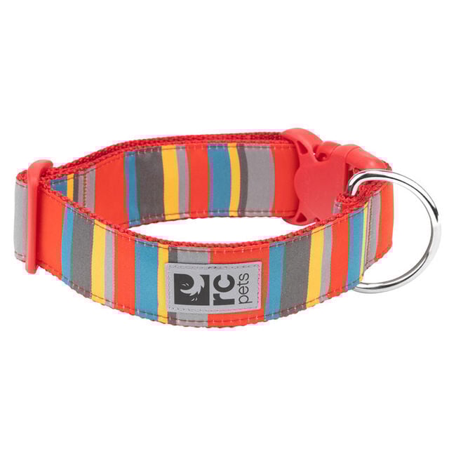 RC Pets Wide Clip Dog Collar - Multi Stripes image number null
