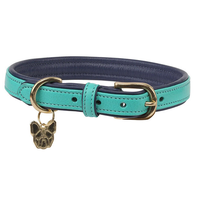 Digby and fox collar hot sale