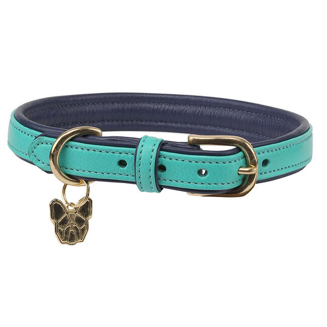 Shires Digby & Fox Padded Leather Dog Collar image number null