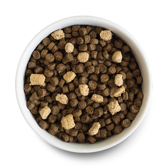 Open Farm RawMax Ancient Grains Dog Food - Tide & Terrain Recipe image number null