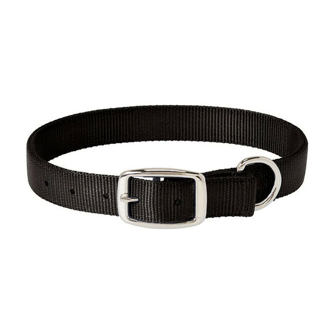 Weaver Equine Prism Classic Dog Collar - Black image number null