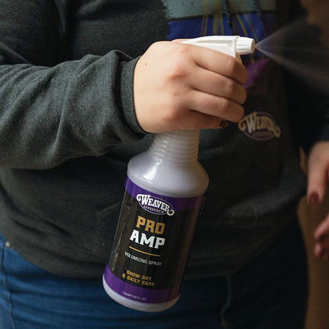 Weaver Livestock ProAmp Volumizing Spray image number null