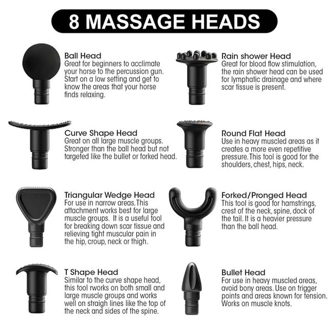 100X Equine EquiMassager image number null