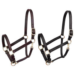Perri's Leather 1'' Leather Turnout Halter