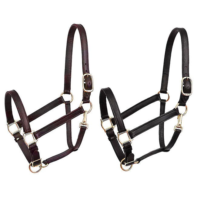 Perri's 1'' Leather Turnout Halter image number null
