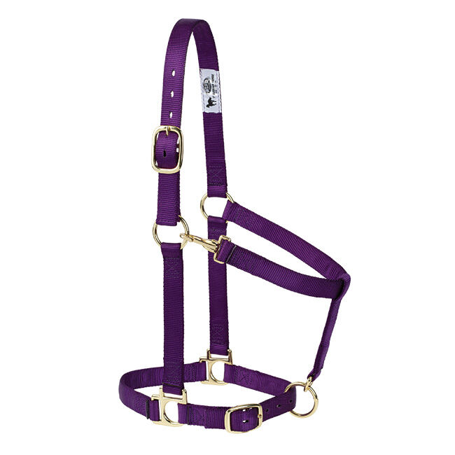 Weaver Equine Poly Adjustable Halter image number null