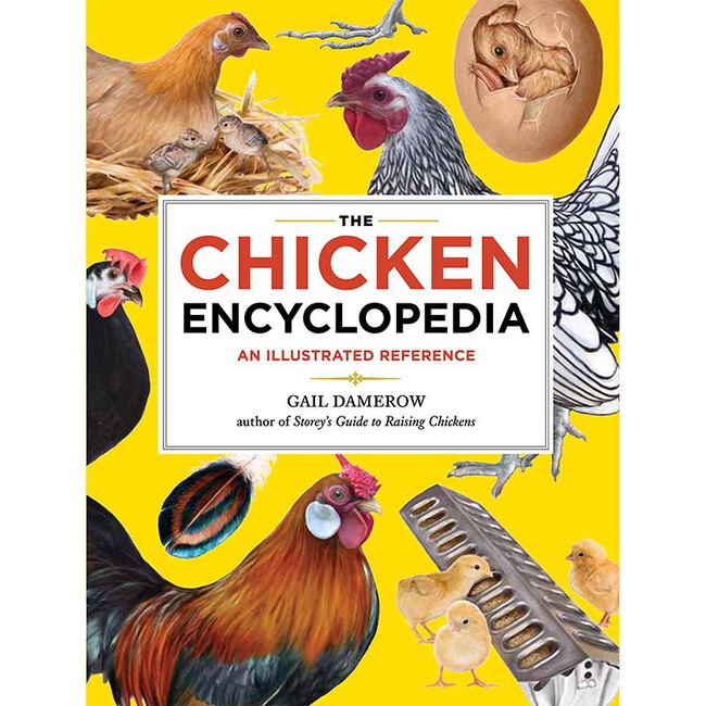The Chicken Encyclopedia: An Illustrated Reference image number null