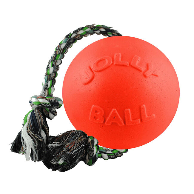 Jolly Pets Romp-N-Roll Dog Toy image number null