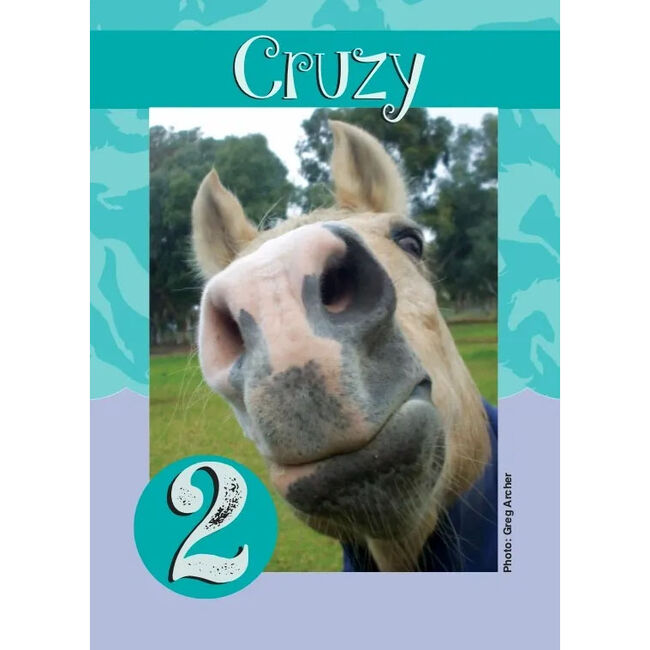 Horse Hollow Press Go Graze! Card Game image number null