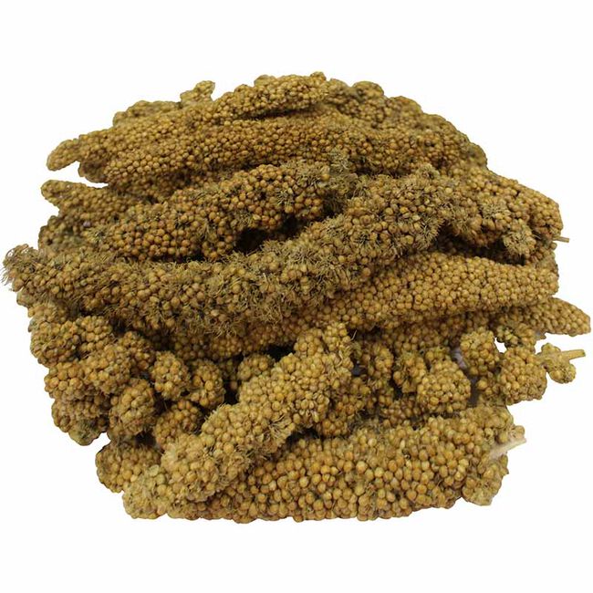 Brown's Encore Natural Farm Fresh Fixins - Millet Tips n' Tails Treat - 8 oz image number null