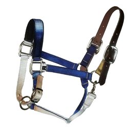 Horse Fare Blues Breakaway Halter