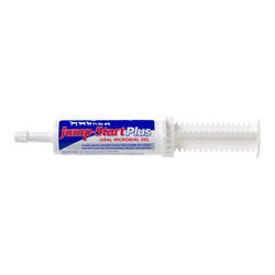 Manna Pro Jump-Start Plus - 60 g