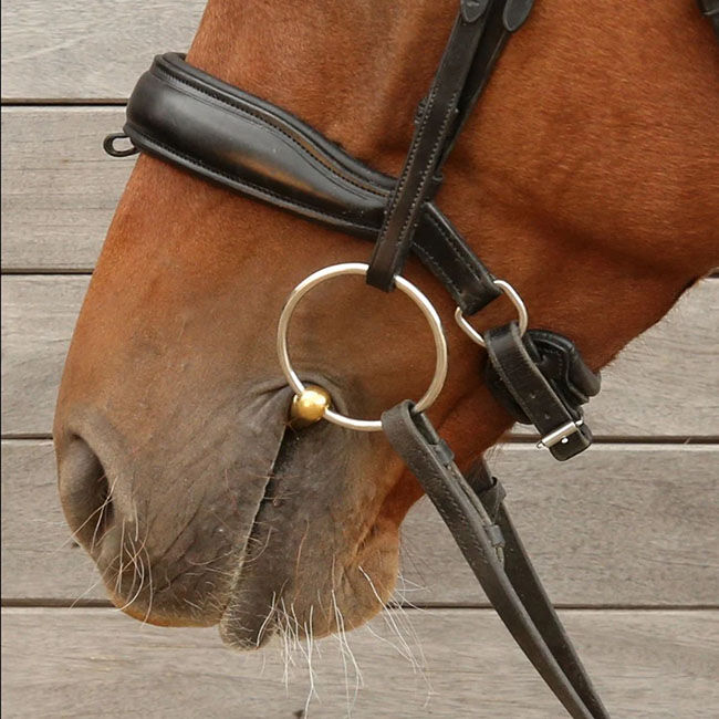 Neue Schule Turtle Tactio Flex Loose Ring Snaffle Bit image number null