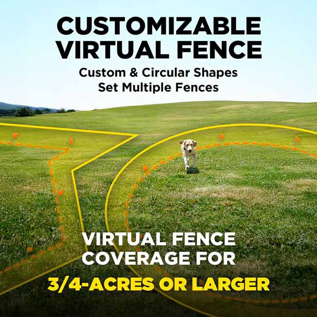 Dogtra GPS Fence image number null