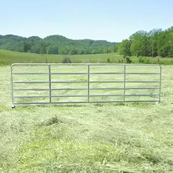 Chubby Baird 2" 6-Rail Galvanized Gate