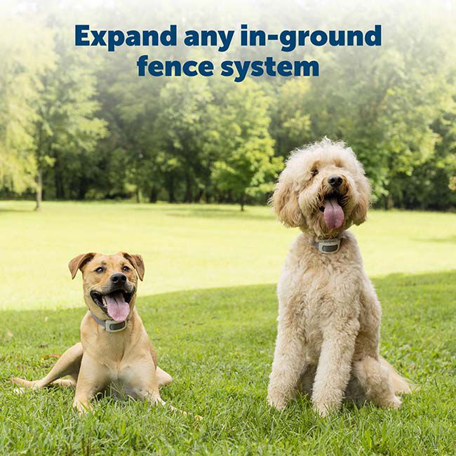 PetSafe Extra In-Ground Boundary Wire & Training Flags image number null