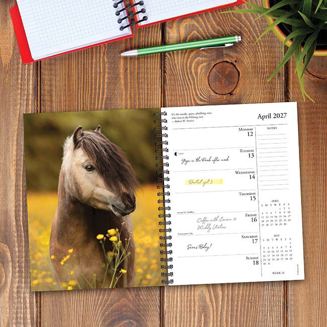 Willow Creek Press 2027 Engagement Calendar - What Horses Teach Us image number null