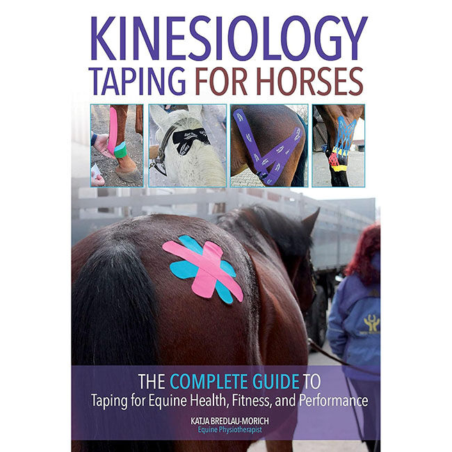 Kinesiology Taping for Horses image number null