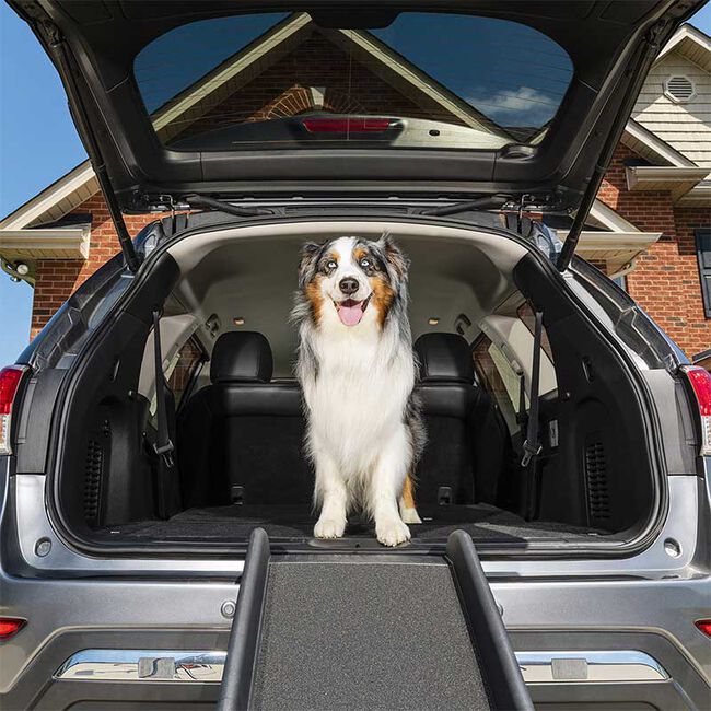 Happy Ride Folding Dog Ramp image number null
