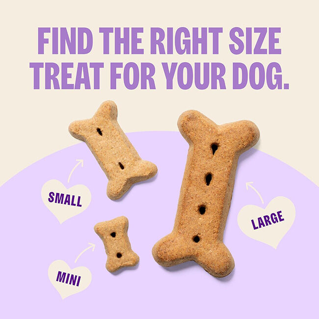 Old Mother Hubbard Oven-Baked Dog Biscuits - Original Mix - Small image number null
