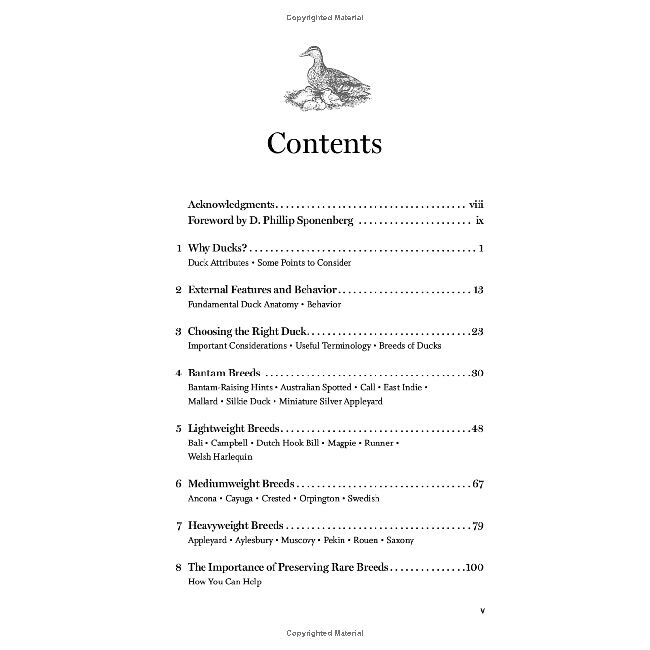 Storey's Guide to Raising Ducks: Breeds, Care & Health, 2nd Edition image number null