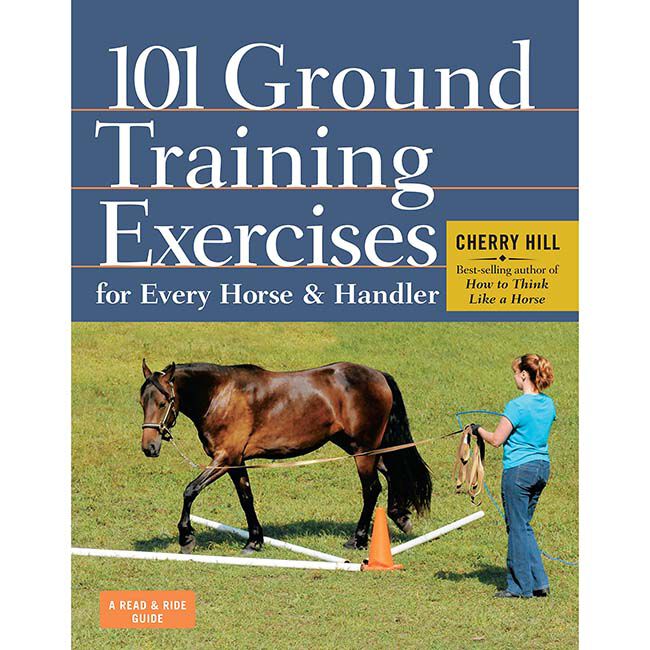 101 Ground Training Exercises for Every Horse and Handler image number null