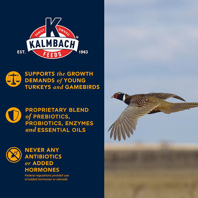 Kalmbach Feeds 28% Non-GMO Start Right Turkey & Gamebird Feed - 50 lb image number null