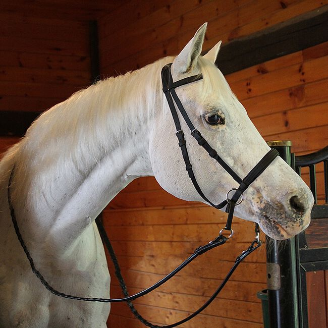 Bitless Beta Headstall Black image number null