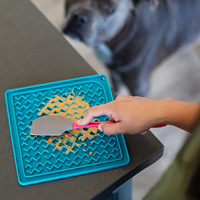 Messy Mutts Silicone Therapeutic Feeding Mat with Silicone Spatula image number null