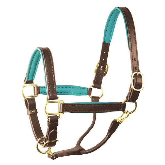 Perri's Leather Padded Leather Halter image number null