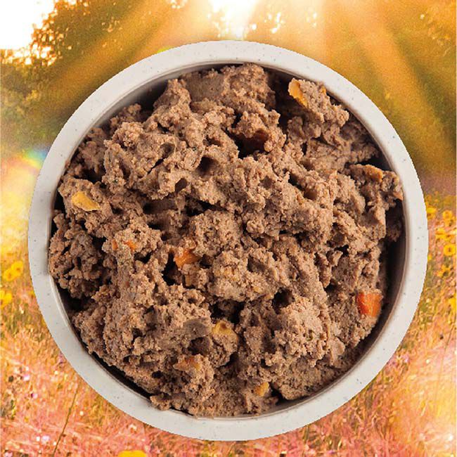 ACANA Premium Pate Dog Food - Puppy Recipe in Bone Broth - 12.8 oz image number null