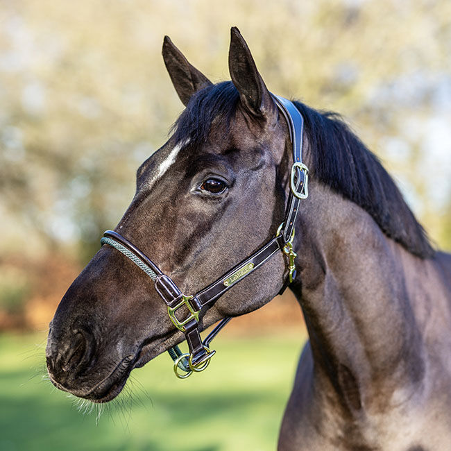 LeMieux Rope Control Halter - Brown image number null