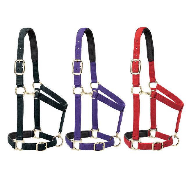 Weaver Equine Padded Adjustable Chin & Throat Snap Halter image number null