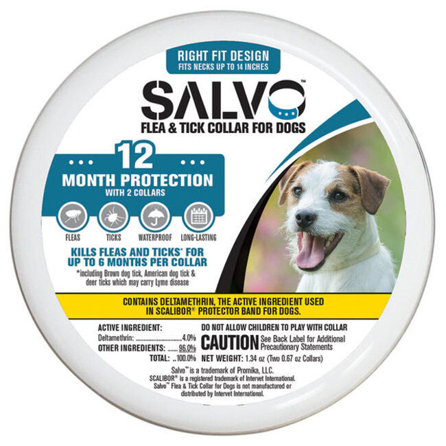 Durvet Salvo Flea & Tick Collar for Dogs - 2-Pack image number null