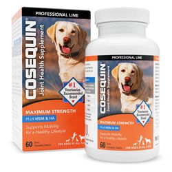 Nutramax Cosequin Maximum Strength Joint Health Supplement for Dogs - with Glucosamine, Chondroitin, MSM, and HA