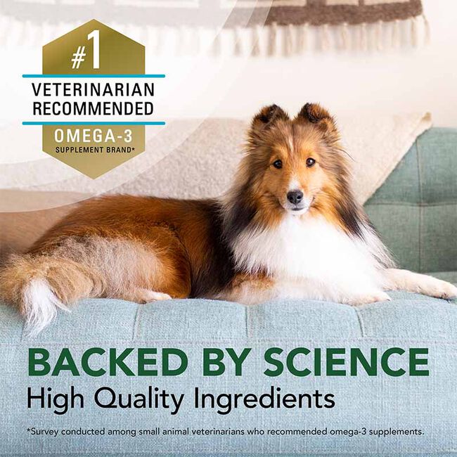 Nutramax Welactin Omega3 Fish Oil Skin and Coat Health Supplement