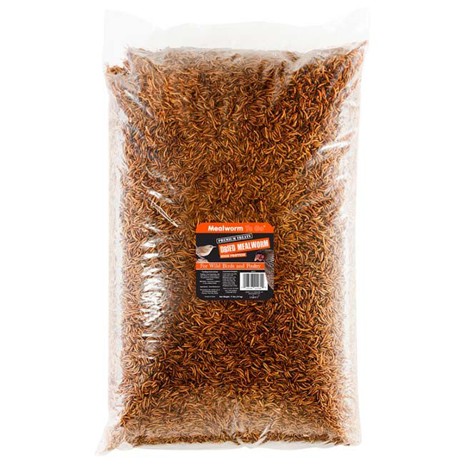 Mealworm To Go Dried Mealworms image number null