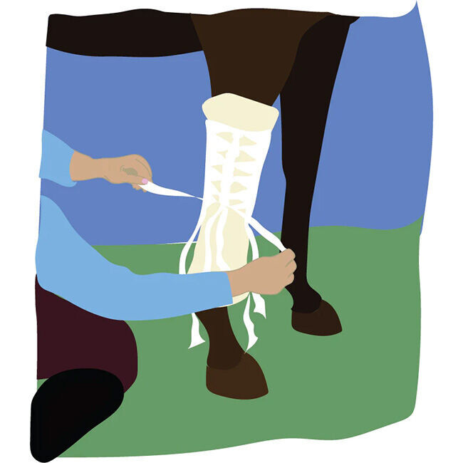 Spitfire Spider Wrap Bandage - 2-Pack image number null