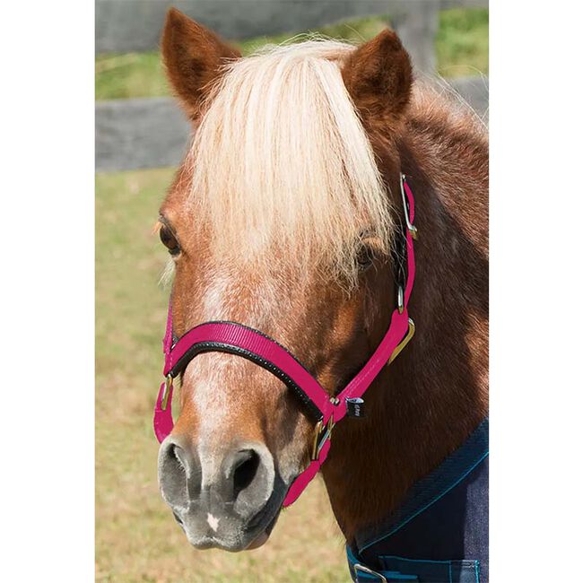 Shires Topaz Mini Nylon Halter image number null