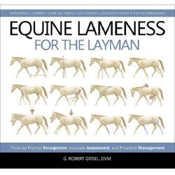 Equine Lameness for the Layman