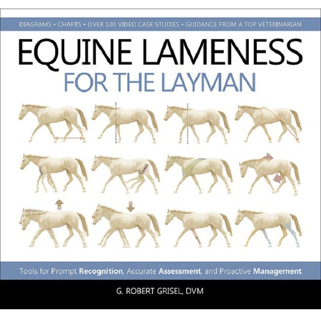 Equine Lameness for the Layman image number null
