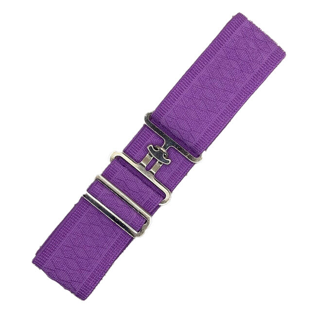 Benny Bows Surcingle Elastic Belt image number null
